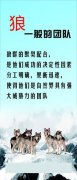 江苏省四线上买球app星级高中名单(江苏省三星级高中名单)